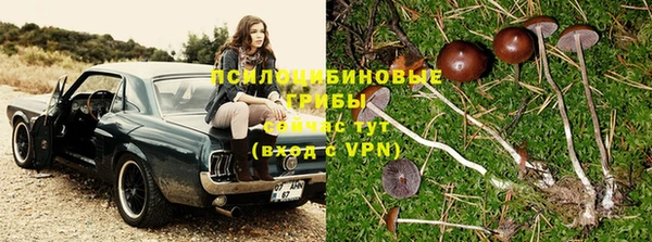 Альфа ПВП Каменногорск