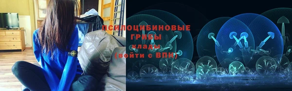 первитин Каменка