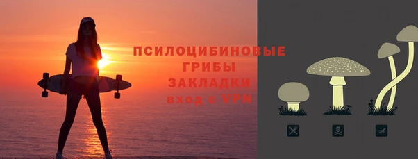 бошки Каменск-Шахтинский