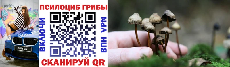 Купить  Тайшет  Псилоцибиновые грибы прущие грибы 