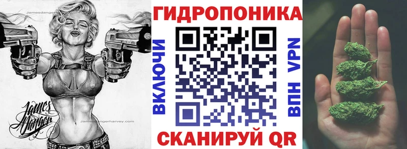 Каннабис сатива  Купить  Тайшет 